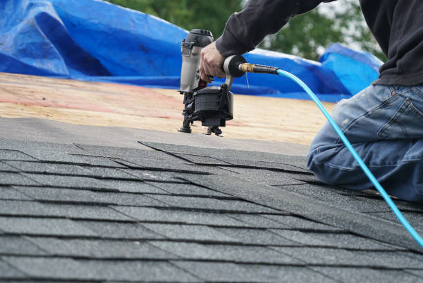 Best Storm Damage Roof Repair  in Celoron, NY